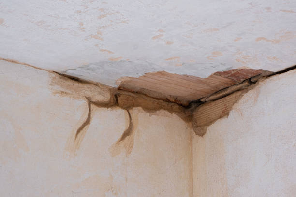 Best Professional water damage repair  in North Arlington, NJ