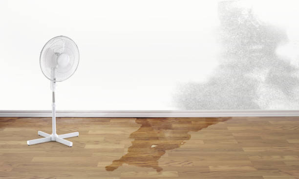Best Residential water damage restoration  in North Arlington, NJ