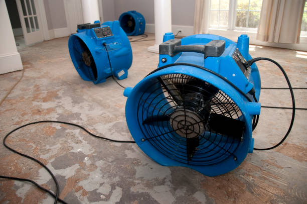 Best Flooded house restoration  in North Arlington, NJ