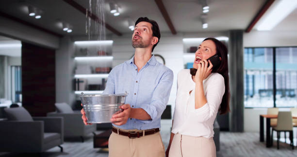 Best 24/7 water damage repair  in North Arlington, NJ